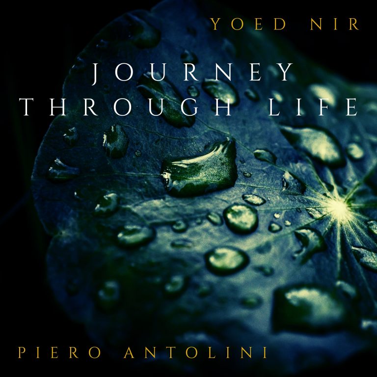 Journey Through Life